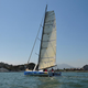 Illustration for article titled Pegasus Open 50, The Official Transpac Raceboat of Gizmodo